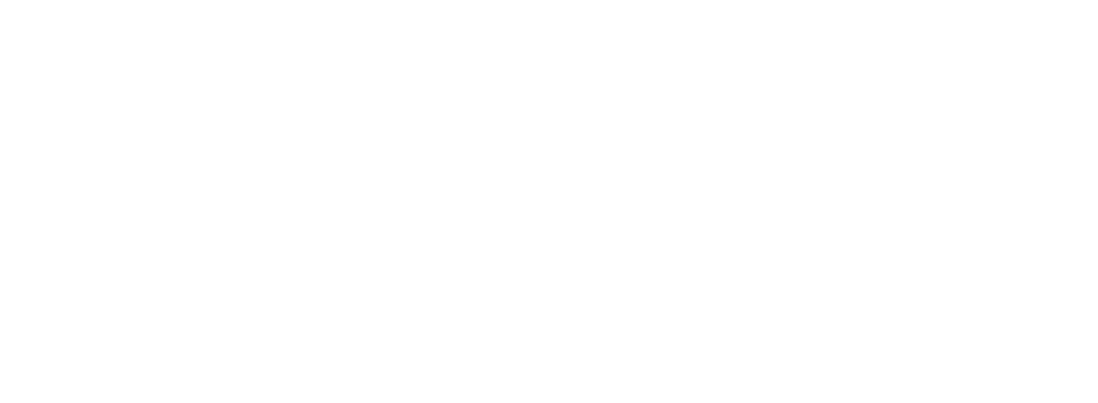 VAF PUROTECH.INC
